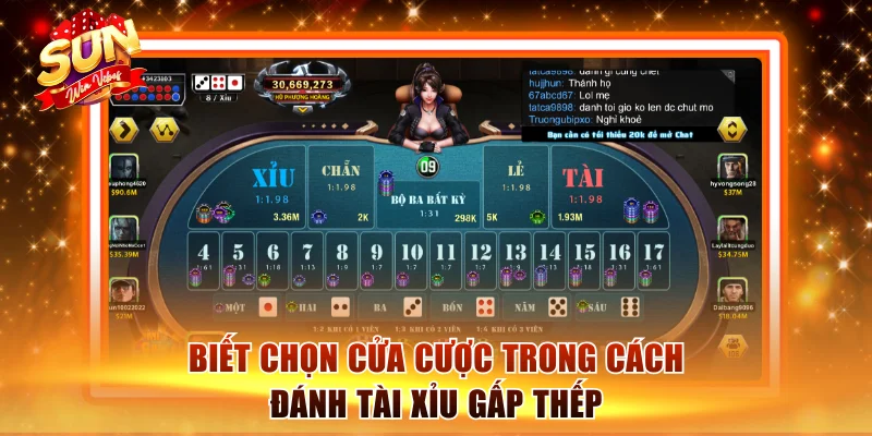 Cách Đánh Tài Xỉu Gấp Thếp Hiệu Quả Nhất Tại Sunwin 1 Biết chọn cửa cược trong cách đánh Tài Xỉu gấp thếp